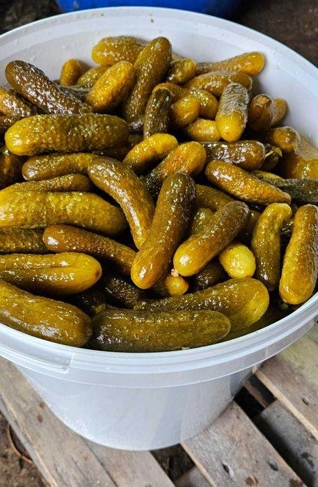 كورنيشو مخلل كامل — صورة 4